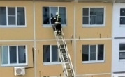 В Донском пожарные спасли застрявшего в приоткрытом окне кота