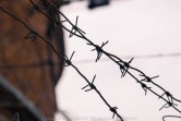 9 лет в колонии: в Донском осудили мужчину за убийство товарища, ударившего ребенка их общей знакомой