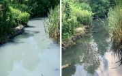 В Новомосковске в Дон сливали неочищенные канализационные стоки