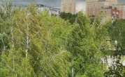 В Тульской области объявлен желтый уровень опасности из-за сильного ветра