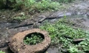 Экологи обнаружили в лесу под Кимовском опасный канализационный колодец