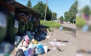 Узловчане: «Надоела вонь и крысы возле детского садика!​​​​​​​»