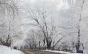 Погода в Туле: 3 января облачно и без осадков