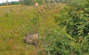 Четыре человека пострадали в ДТП в Кимовском районе