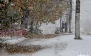 В начале ноября в регион придут морозы и выпадет снег