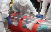 Как понять, что вы уже переболели COVID-19: пять главных признаков