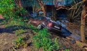 В Кимовском районе в результате ДТП годовалая девочка с травмами попала в больницу