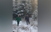 Перед Новым годом в Тульской области начали патрулировать леса