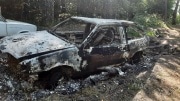 В посадке под Новомосковском обнаружили сожженную машину