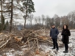 Урванский лес: кто и зачем рубит деревья под Новомосковском
