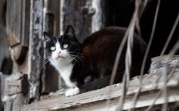 Погода в Туле 7 марта: небольшой снег и до +3 градусов
