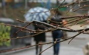 Погода в Тульской области 13 мая: низкое давление, похолодание и облачность