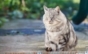 6 июля в Тульской области ожидается до +30 градусов