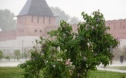 Погода в Туле 18 июля: дождливо и до +23 градусов