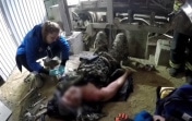 В Новомосковске рабочего зажало транспортерной лентой на производстве