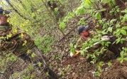 В Тульской области обнаружено еще одно братское захоронение советских воинов времен войны
