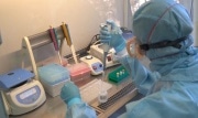 В Тульской области уровень коллективного иммунитета от коронавируса превышает 50%