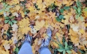 Погода в Туле 14 октября: облачно и прохладно