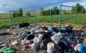 Туристы устроили свалку в Кондуках и зачем-то ободрали березы