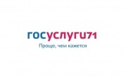 Путевки в детские лагеря в Тульской области: сайт госуслуги71 рухнул в самый неподходящий момент