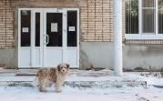 Погода в регионе 6 января: облачно и небольшой снег