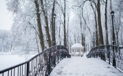 Погода в Тульской области 1 января: морозно и ветрено