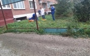 В Узловой женщина выпала из окна 4-го этажа