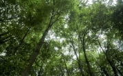 В Тульской области появится национальный парк