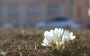 Погода 4 апреля: в регионе солнечно, но местами возможен снег