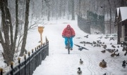 8 декабря туляков вновь ждет сильный снегопад