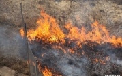 В Тульской области объявлена высокая степень пожароопасности