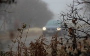 Погода в Тульской области 13 ноября: облачно, местами туман, до +8