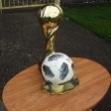 Турнир по футболу среди детей 2008-2009 г. рождения, на призы группы компании «Арнест»