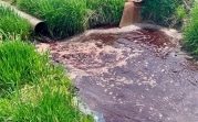 Кровавый пруд и мертвые бобры: мясокомбинат подозревают в загрязнении водоема в Донском