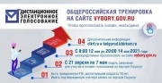 Дистанционное электоронное голосование