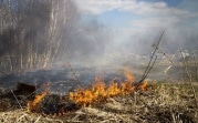 В Тульской области объявлен «желтый» уровень погодной опасности