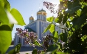 В начале мая в регион придет 20-градусное тепло