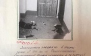 Задержали через 25 лет: волгоградский убийца подрабатывал в Туле таксистом