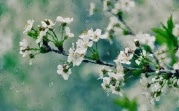 Погода в Тульской области 27 мая: небольшой дождь, до +18 градусов