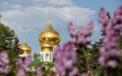 Погода в Туле 22 июня: жарко и сухо