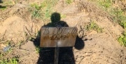 Как и куда в Новомосковске убирали удаленные человеческие органы