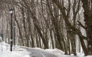 Погода в Туле 2 февраля: мокрый снег и небольшой морозец