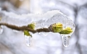 Погода в Тульской области 1 февраля: облачно, ветрено, до +2 градусов