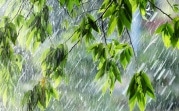 Погода в Тульской области 18 августа: дождливо и до +33