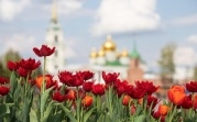 Погода на 2 мая: туляков ждет теплый солнечный день