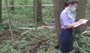 Трое туляков привязали знакомого к дереву пищевой пленкой: приговор вступил в силу