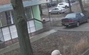 Бастрыкин поручил возбудить дело по факту нападения собак на 7-летнюю девочку в Богородицке