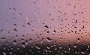Сегодня в Туле облачно и дождливо