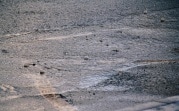 В регионе сегодня ожидается дождь