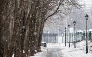 Погода в Тульской области 16 марта: туман и снег с дождем